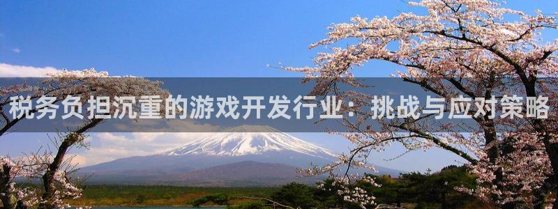 银河(galaxy)子书店：税务负担沉重的游戏开发行业：挑战与应对策略