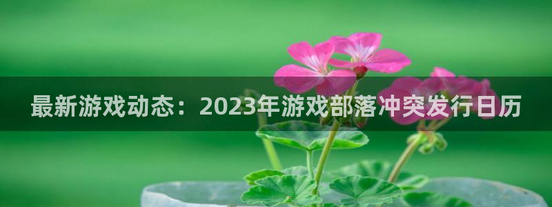 银河(galaxy)品牌服装：最新游戏动态：2023年游戏部落冲突发行日历