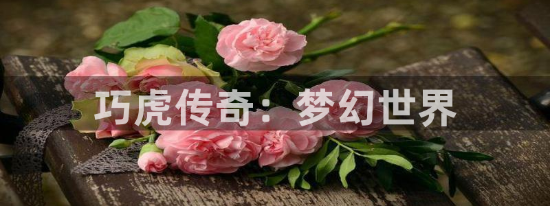 银河(galaxy)子教育科技有限公司：巧虎传奇：梦幻世界