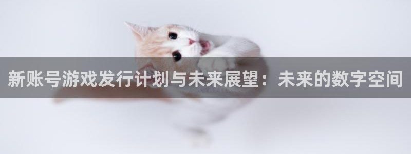 银河(galaxy)子的所有小说：新账号游戏发行计划与未来展望：未来的数字空间